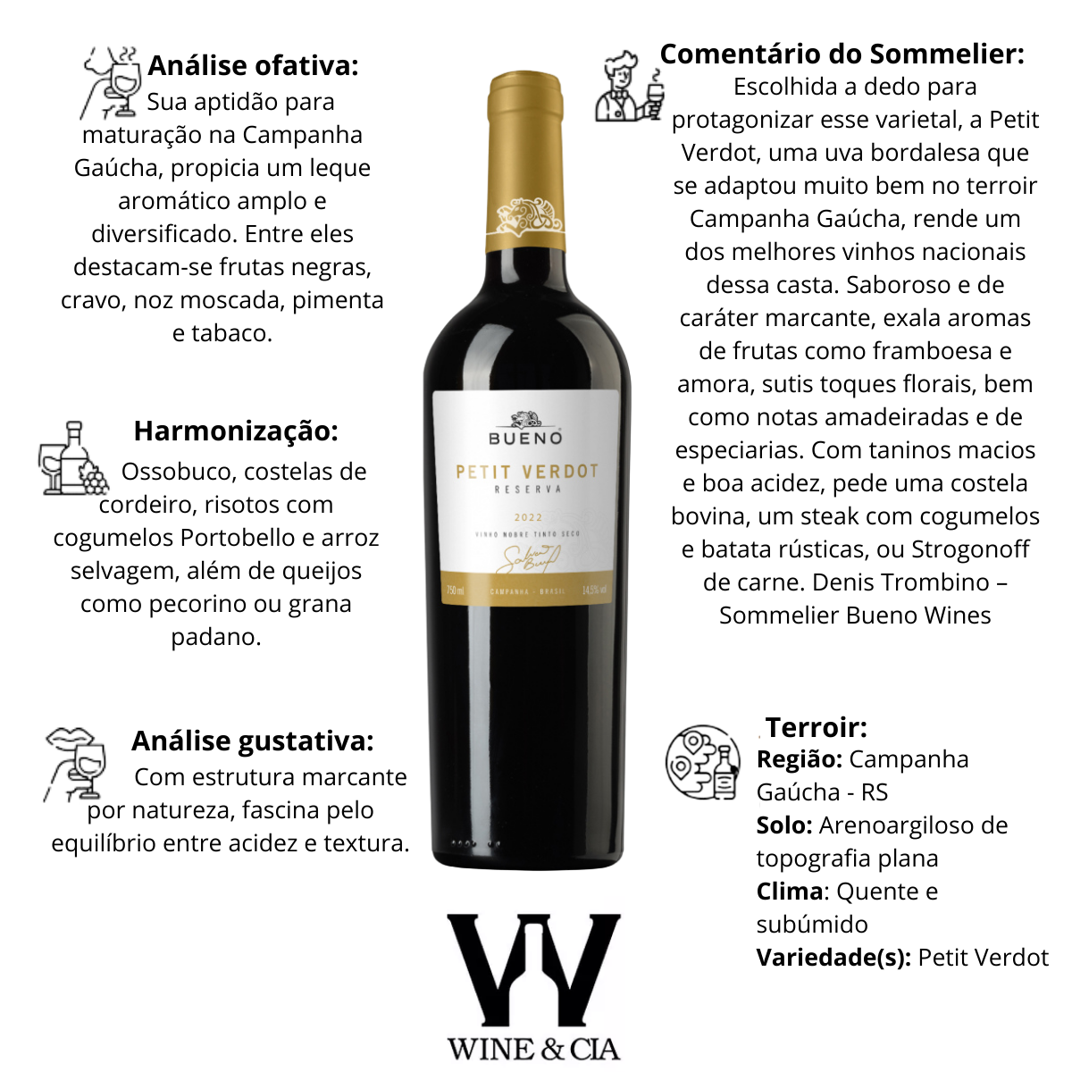Vinho Tinto Petit Verdot Reserva Bueno Wines 750ml + Wine Skin