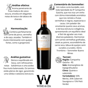 Vinho Tinto Paralelo 31 Gran Reserva 2022 750ml + Wine Skin