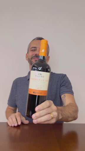 Vinho Tinto Paralelo 31 Gran Reserva 2022 750ml + Wine Skin