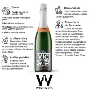 Kit Protetores De Garrafas Wine e Cia +3 Garrafas de Vinhos